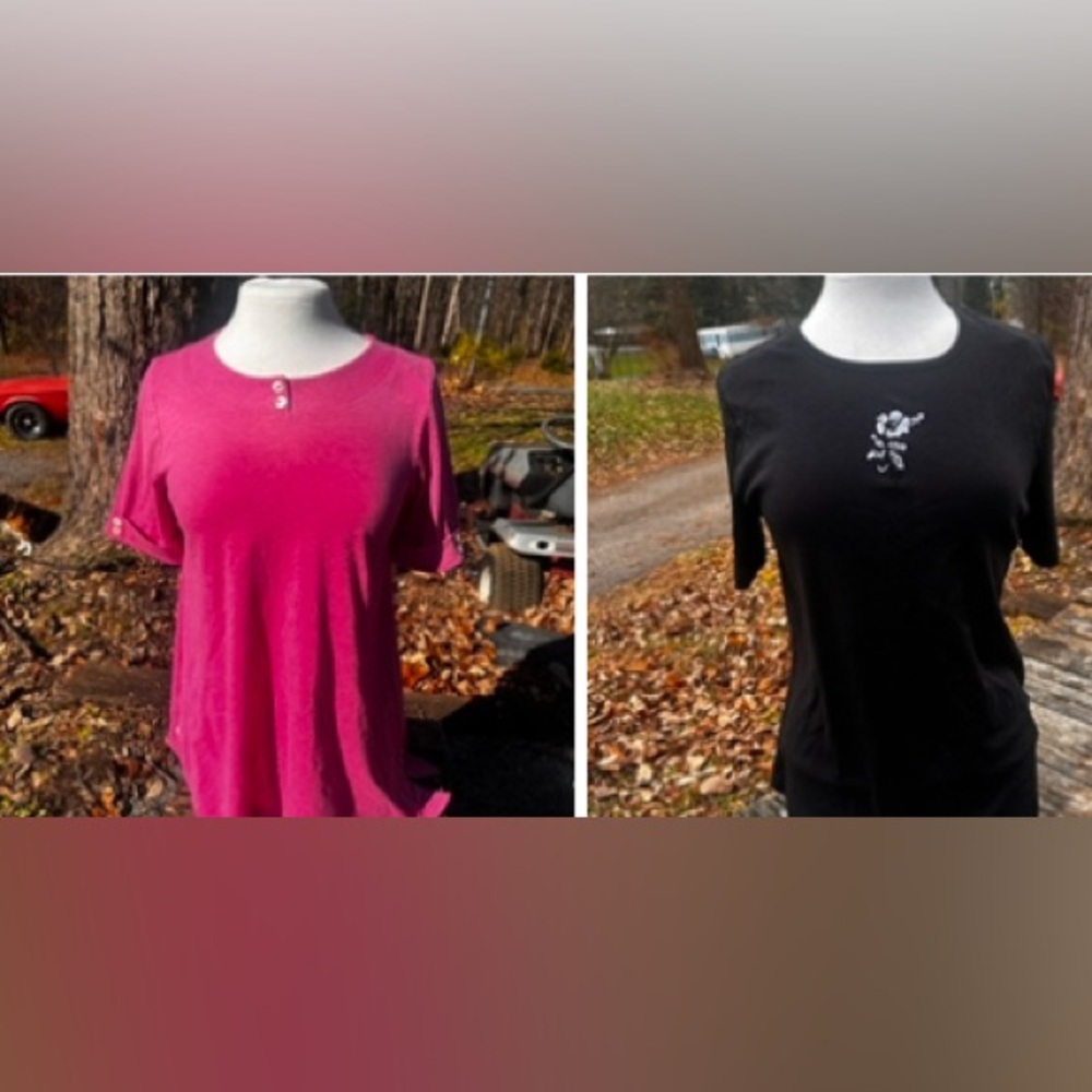 BLAIR WOMENS SMALL SHORT SLEEVE TOPS (bundle of 2)